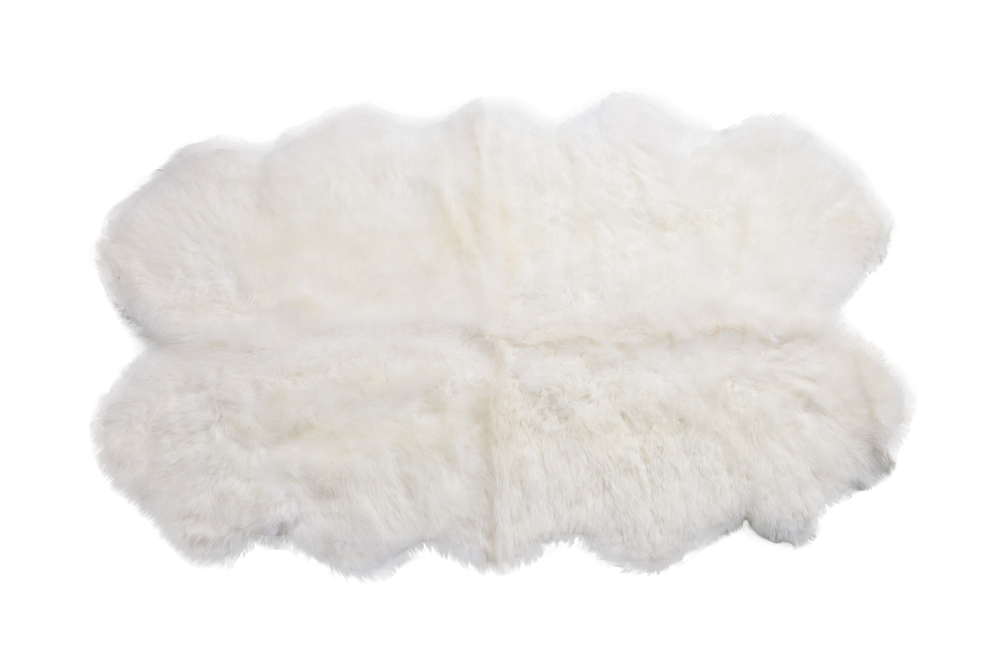 Long Wool Sheepskin - Quarto Pelt